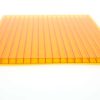 Twin-wall Hollow Sheet (1)