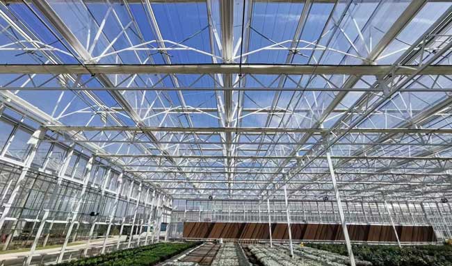 Greenhouse-1
