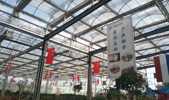 Greenhouse-3